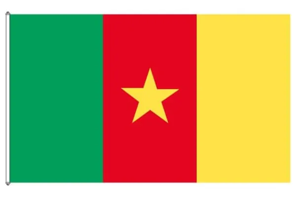 Clearance Cameroun flag Flag & Vindposer