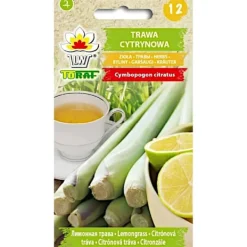 Clearance Citrongræs 0,1 g Frø