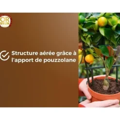 Discount Citrus- och medelhavsväxter Jord - BRUNT GULD - OBRTAGR6U - 6L - Olivträd Palmer och cycas Jord & Sand