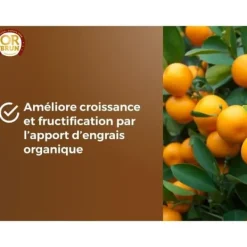 Discount Citrus- och medelhavsväxter Jord - BRUNT GULD - OBRTAGR6U - 6L - Olivträd Palmer och cycas Jord & Sand
