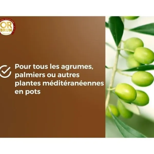 Jord & Sand^Citrus- og middelhavsplantejord - BRUN GULD - OBRTAGR6U - 6L - Oliventræer, palmer og cycas