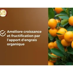 Jord & Sand^Citrus- og middelhavsplantejord - BRUN GULD - OBRTAG20N - 20 L