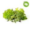 Click & Grow - Smart Garden Refill 9-pak Grill & Steak Mix Kit Til Plante- & Urtedyrkning