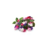 Sale Click & Grow Smart Garden refill Busy Lizzie 3stk Blomster