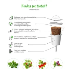Sale Click & Grow Smart Garden refill Busy Lizzie 3stk Blomster