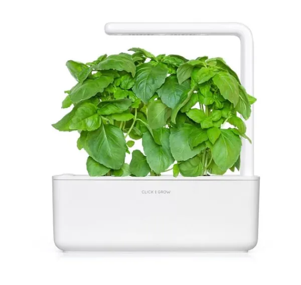 Click & Grow Smart Garden refill Marseille Basilikum 3 stk Kit Til Plante- & Urtedyrkning