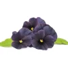 New Click & Grow Smart Garden refill Sort stedmoderblomst 3 stk Blomster