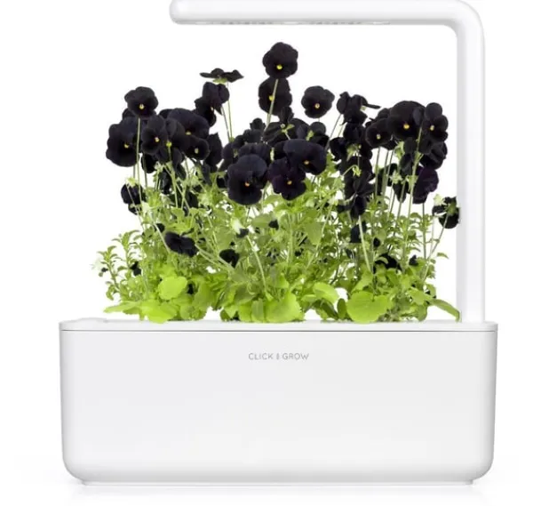 New Click & Grow Smart Garden refill Sort stedmoderblomst 3 stk Blomster