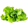 Sale Click & Grow Smart Garden Refill 3-pak - Grøn salat (SGR32X3) Kit Til Plante- & Urtedyrkning