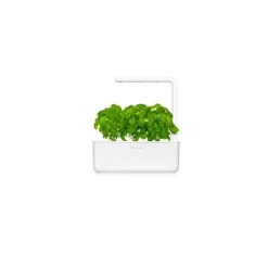 Online Click & Grow Smart Garden refill Basilikum 3 stk Kit Til Plante- & Urtedyrkning