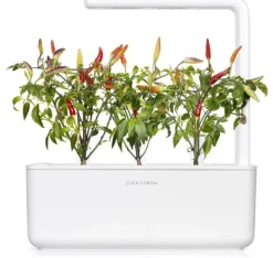 Outlet Click & Grow Smart Garden refill Red Hot Chili Pepper 3 stk Kit Til Plante- & Urtedyrkning