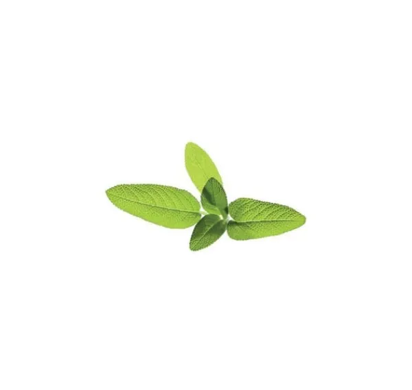 Kit Til Plante- & Urtedyrkning^Click & Grow Smart Garden refill Sage 3stk