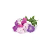 Blomster^Click & Grow Smart Garden refill Petunia 3stk