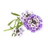 Blomster^Click and Grow Smart Garden refill 3-pack - Strandkarse