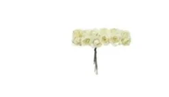 Nyplukkede Blomster^Creme papir roser