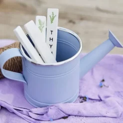 Vanding^Decorative watering can Decoris Assorted colours Zinc