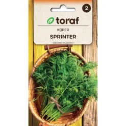 Frø^Dildfrø Sprinter - Kraftig vækst med lang høstperiode