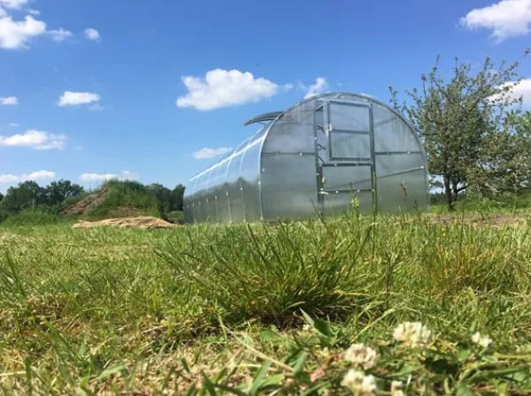 Baumera Drivhus^Drivhus BALTIC 3x6m med 6 mm polycarbonatbelægning