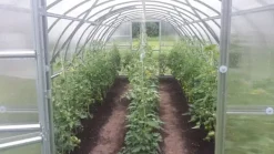 Baumera Drivhus^Drivhus BALTIC 3x6m med 6 mm polycarbonatbelægning