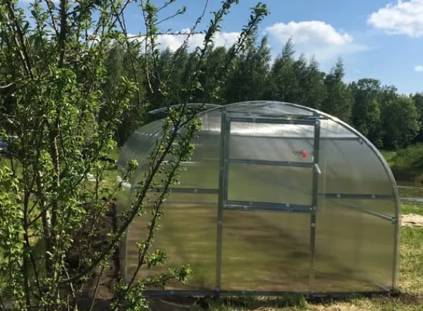 Baumera Drivhus^Drivhus BALTIC 3x6m med 6 mm polycarbonatbelægning