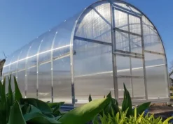 Outlet Drivhus Klasika 3x4m med 6 mm polycarbonatbelægning Drivhus