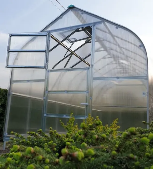 Clearance Drivhus STANDARD 20 - 2,5x8m med 6 mm polycarbonatbelægning Drivhus