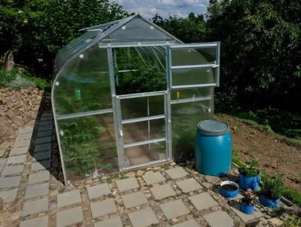 Clearance Drivhus STANDARD 20 - 2,5x8m med 6 mm polycarbonatbelægning Drivhus