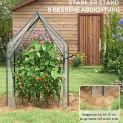 Sale Drivhus, 90x90x145 cm, Transparent Drivhus