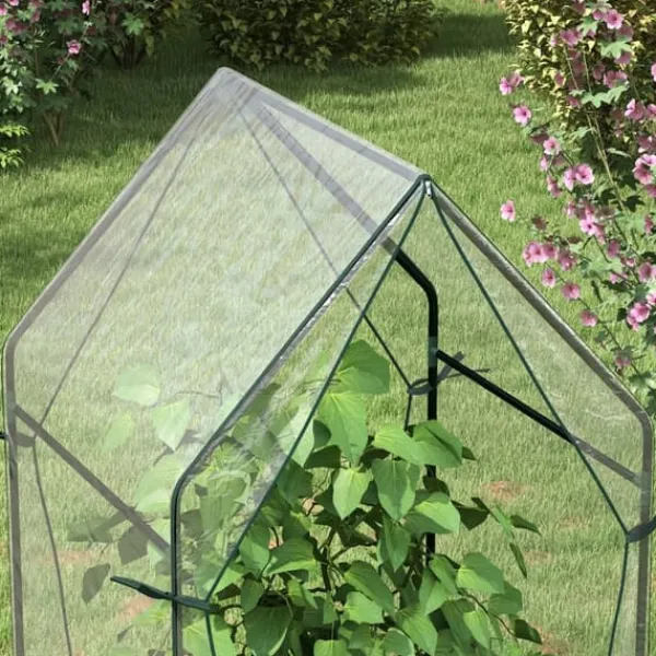 Sale Drivhus, 90x90x145 cm, Transparent Drivhus