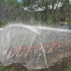 Discount Drivhusfolie 6x10 m, vandtæt med UV-beskyttelse, ekstra tyk, transparent Drivhus