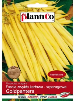 Frø^Dværgfransk bønne GOLDPANTERA 40g. PlantiCo frø