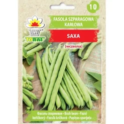 Frø^Dværggrønne bønner SAXA 30g