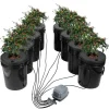 Kit Til Plante- & Urtedyrkning^DWC Hydroponics dyrkessystem, Deep Water Culture, 8 spande med luftpumpe, effektiv vandkultur, let at bruge
