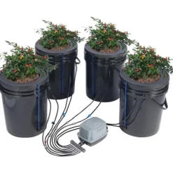 Kit Til Plante- & Urtedyrkning^DWC Hydroponics Vækstsystem, Dybvandskultur med Top Drip, 4 Spande, Effektiv Vækst, Hydroponisk Havearbejde
