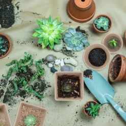 Hot Dyrkningssæt med potter, 8x8x8 cm, Brun Kit Til Plante- & Urtedyrkning