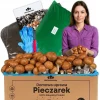 Hot Dyrkningssæt til brune svampemycelier, 8 kg, instruktioner + gratis Kit Til Plante- & Urtedyrkning