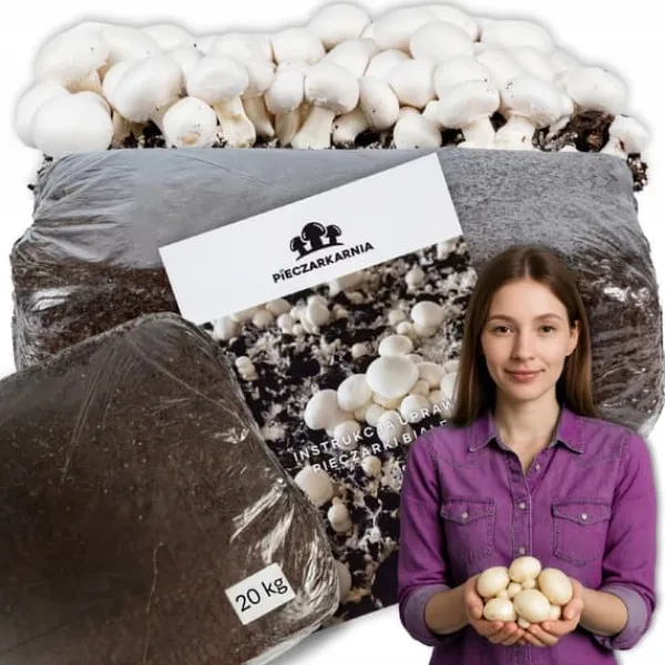 Kit Til Plante- & Urtedyrkning^Dyrkningssæt til hvide svampe, 20 kg balle, 3-faset myceliumsubstrat, testet