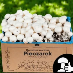 Kit Til Plante- & Urtedyrkning^Dyrkningssæt til hvide svampe, 20 kg balle, 3-faset myceliumsubstrat, testet