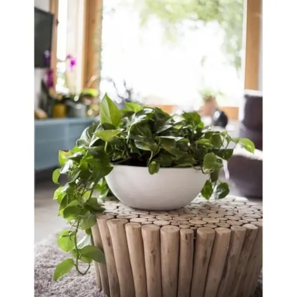 Hot EDA PLASTIQUE - Graphit'Up bassängkruka Ø 40 - 14,9L - Kalkad vit Krukker & Plantebeholdere