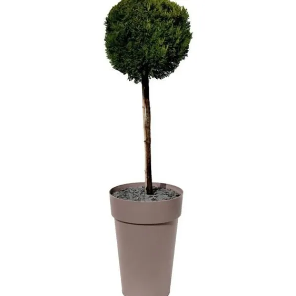 Krukker & Plantebeholdere^EDA Potte/Høj Vase TOSCANE - 67 L - Ø 46 x H 65 cm - Taupe