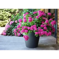 Krukker & Plantebeholdere^EDA Rund toskansk blomkruka - Ø 60 x H 47 cm - 76 L - Antracitgrå