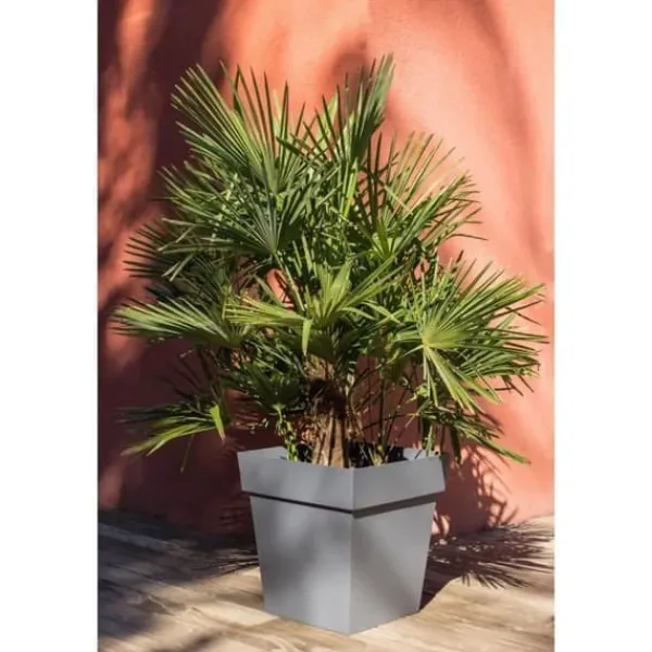 Krukker & Plantebeholdere^EDA Toscana fyrkantig kruka - 50 cm - 87 L - Antracitgrå