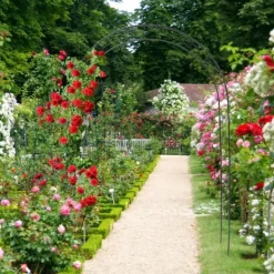 Buer, Spalier, Lysthuse Uden Tag^Espalier, 153x39x233 cm, Grøn