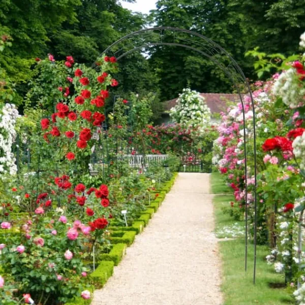 Buer, Spalier, Lysthuse Uden Tag^Espalier, 153x39x233 cm, Grøn