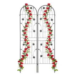 Discount Espalier, 200x50x1,5 cm, Sort Buer, Spalier, Lysthuse Uden Tag
