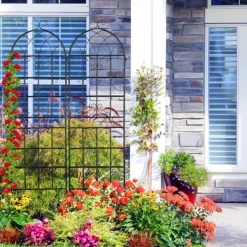 Buer, Spalier, Lysthuse Uden Tag^Espalier-sæt, 150x50x1,5 cm, Sort