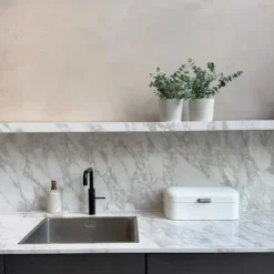 Krukkeplanter Indendørs^Eukalyptus - Sæt med 2 - Eucalyptus 'Pulverulenta' - Højde 25-40cm - ⌀13cm