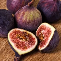 Discount Figen - Sæt med 2 - Ficus Carica - Højde 70-90cm - ⌀21cm Træ