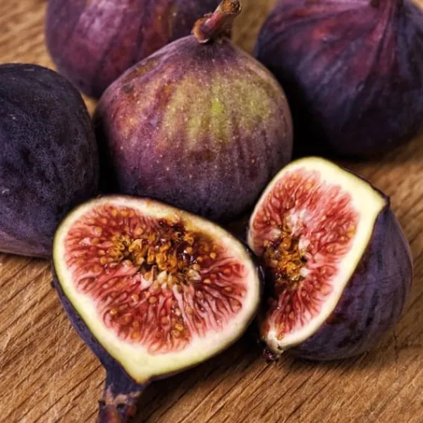 Discount Figen - Sæt med 2 - Ficus Carica - Højde 70-90cm - ⌀21cm Træ