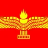 Online Flag - Syrianska Flag & Vindposer